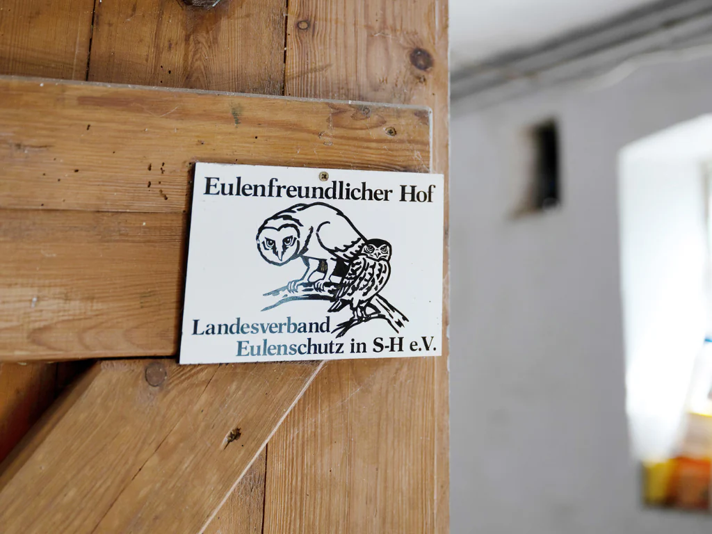 Ferienwohnung bei Büsum